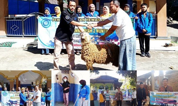 SMK Muhammadiyah 2 Muntilan Tanamkan Kepedulian Lewat Idul Adha